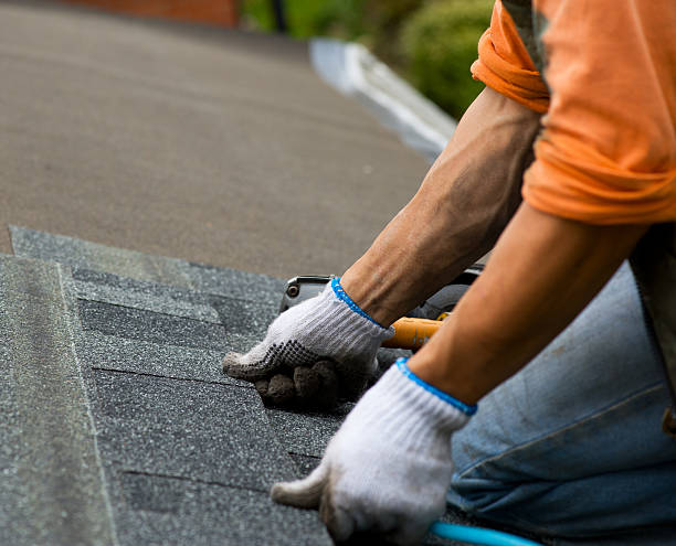 Best Storm Damage Roof Repair  in South Corning, NY